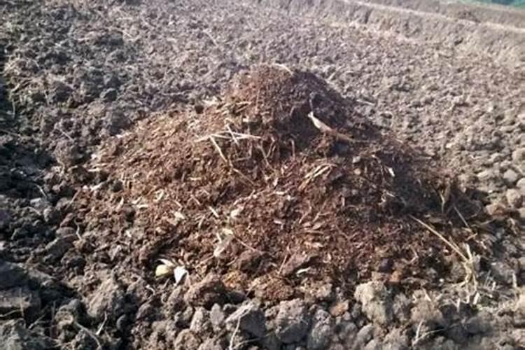 黄腐酸和腐殖酸的区别