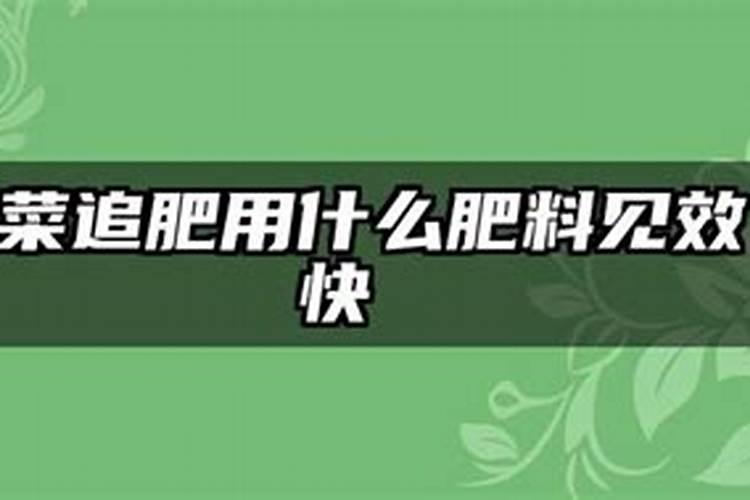 莲花施肥方法,用什么肥好