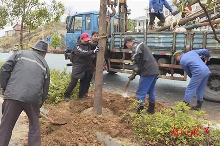 硫酸铵和尿素哪个容易烧苗