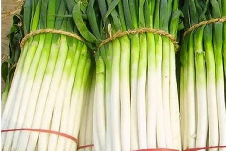 大葱需要用什么肥料!
