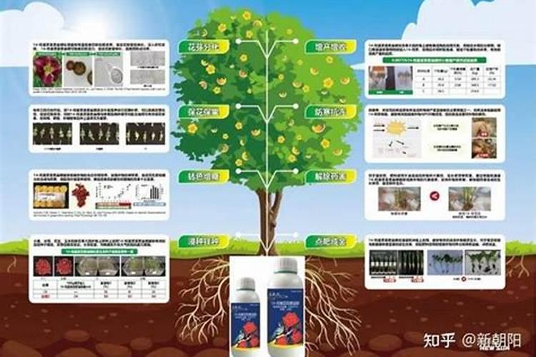 四川涧尔科技有限公司国光施优特水溶肥五千克的多少钱一袋