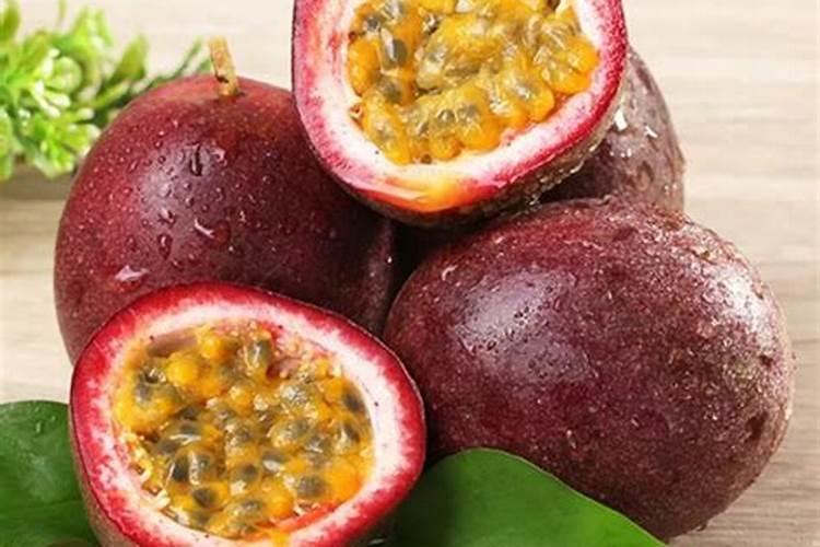 芙蓉菊寿命几年