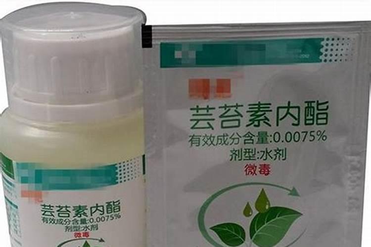 大豆啥时候打芸苔素好？
