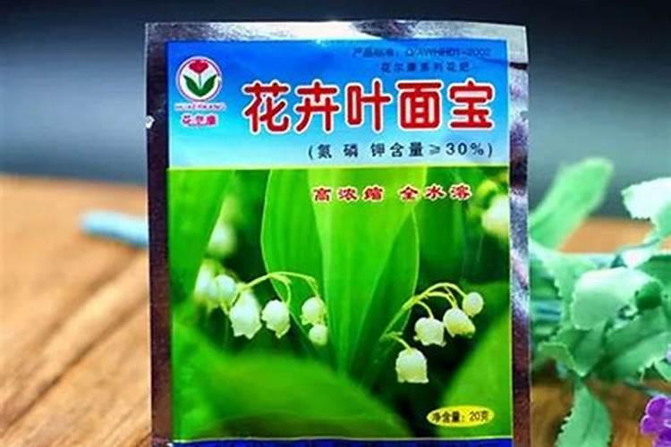 三角梅开花期间怎么施肥施什么肥