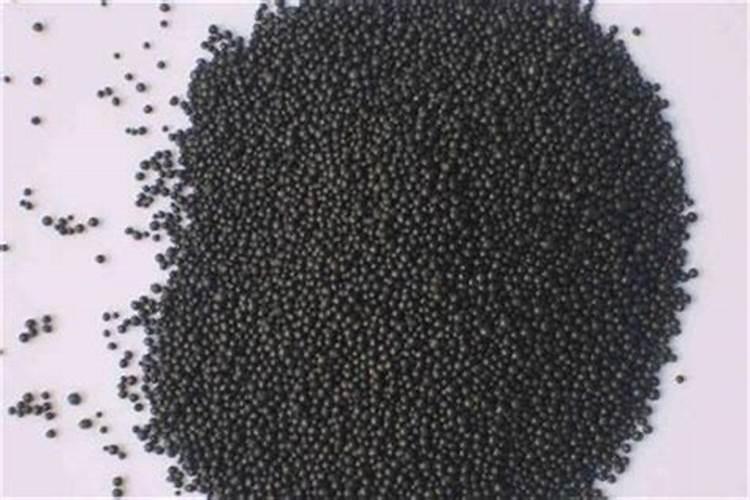 毛竹林下肥几月最好