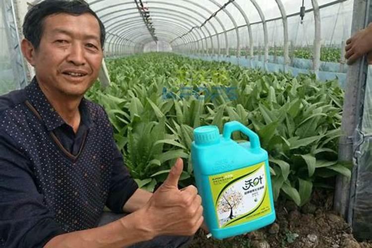 高钾水溶肥什么时候用,在地里几小时见效