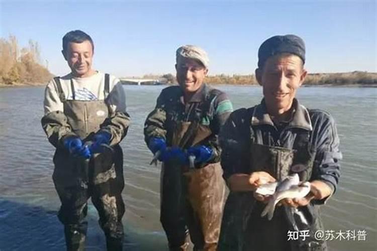 叶面肥有什么功效？喷洒时有什么注意事项？