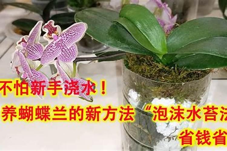 初中化学氮肥的简易鉴别今天急需,快!