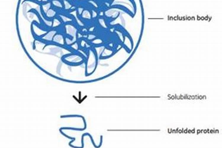 种小麦三要素肥的配比是多少？