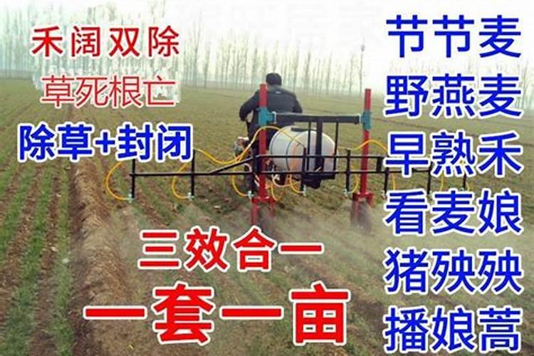 番茄施肥时间及方法番茄什么时候施肥