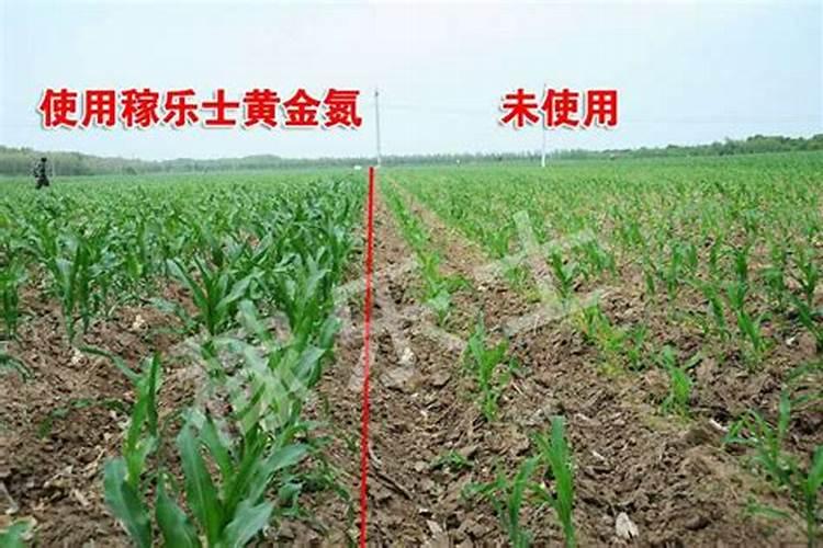 氮素的营养作用,氮肥的性质和施用？
