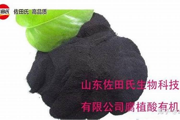 堆肥最好的土办法