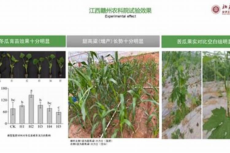 钾肥和硼肥膨大果实适宜比例是多少