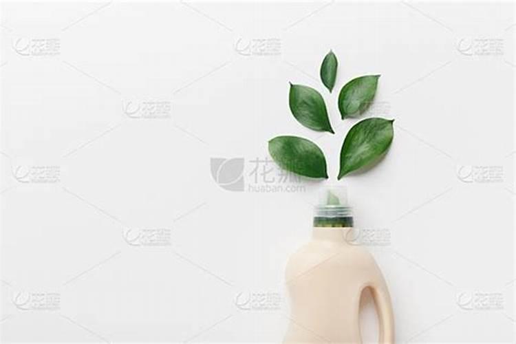 为什么沙质土壤不适合种种植物