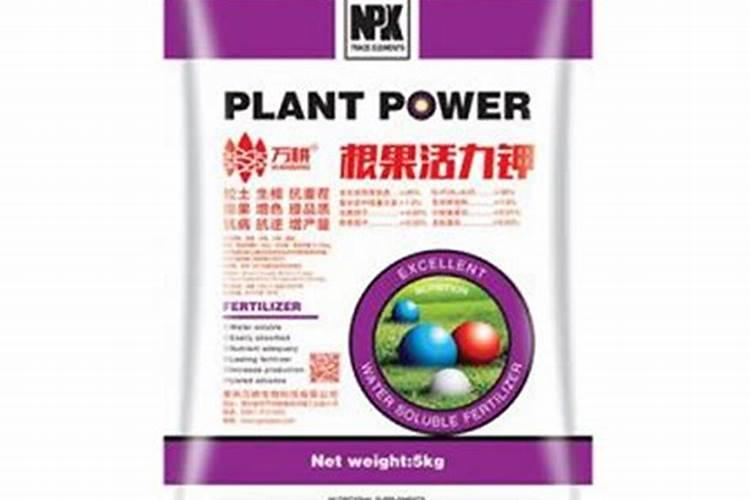 枇杷叶熬水喝能治咳嗽 枇杷叶熬水喝怎么做