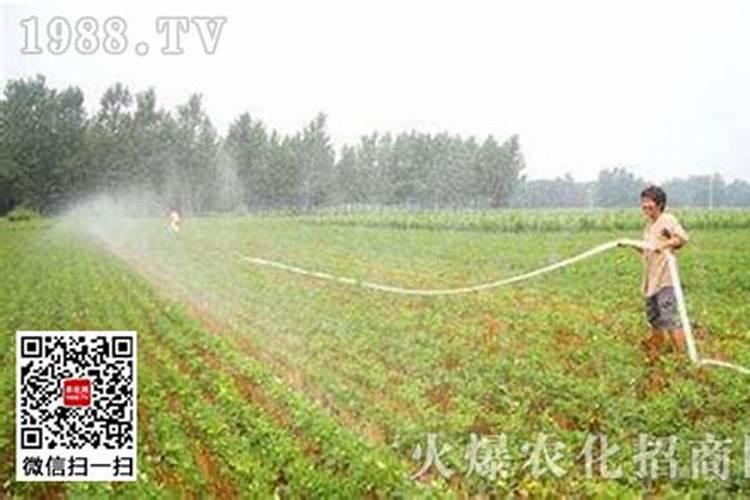 10几元的高硼硅玻璃杯能用吗