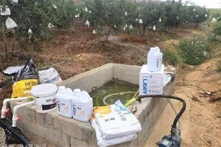 陶粒养花的正确方法 陶粒和石子哪个好