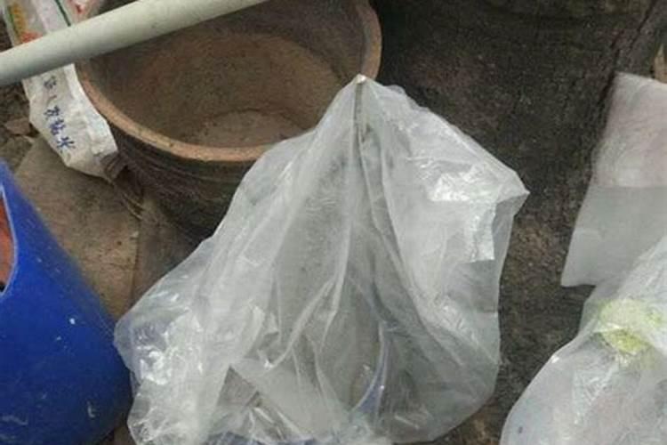 苹果锈多套袋后喂什么化肥最好