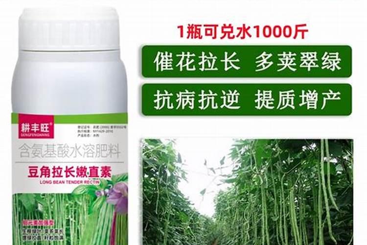 长豆角结果冲施什么肥？长豆角怎么种植产量高？