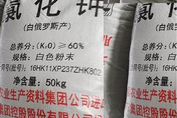 荷花施什么肥最好