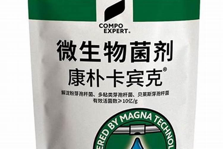 枣树用哪种冲施肥,什么时候用效果最好