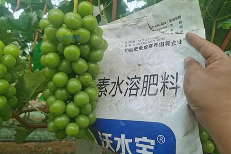 水溶肥可以叶面喷吗