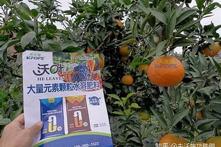 平衡肥料的功效与作用,什么时候用