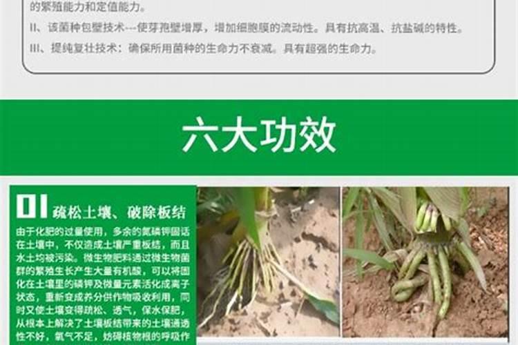 水溶肥跟尿素的区别