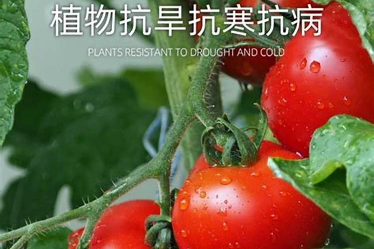 什么是铵态氮？