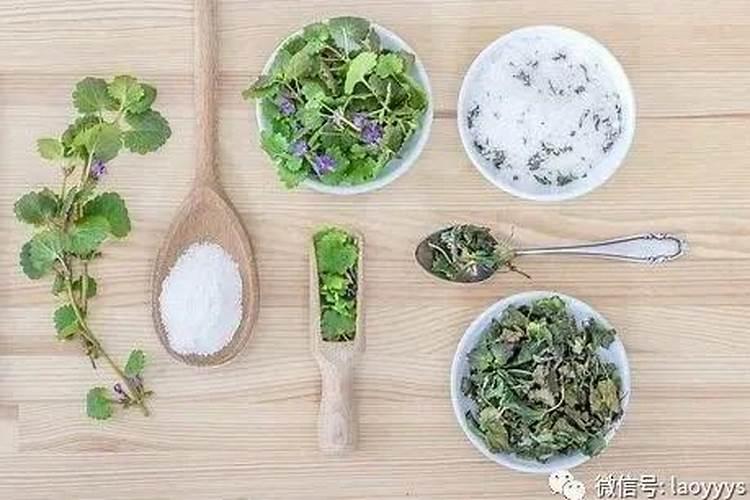 化肥在哪个网站买