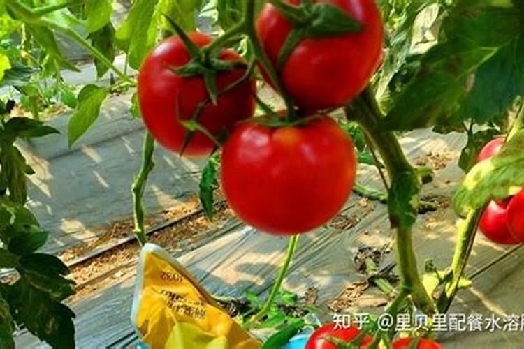 控释肥有几种包膜技术,有什么区别？有什么优点和缺点？