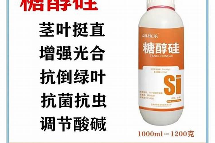 硅肥适用于哪些作物？