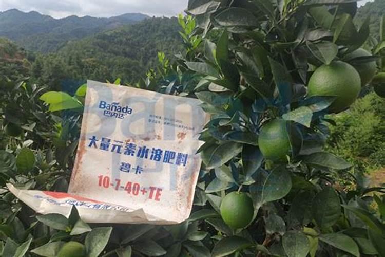 重化工业的化学工业