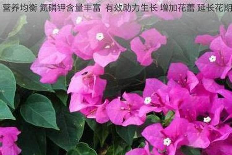 日本21地点河流及地下水有机氟化物超标,什么是氟化物