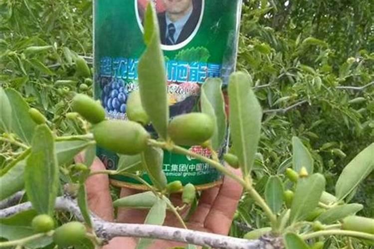 这8种植物千万不要乱施肥,不然就死定了!