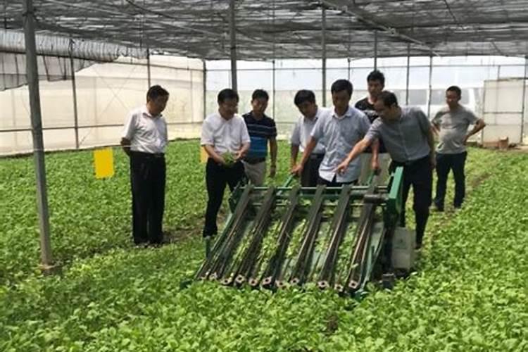 华强化工 强农工程:华强生物炭基肥新品上市,为农业注入“健康”之源...