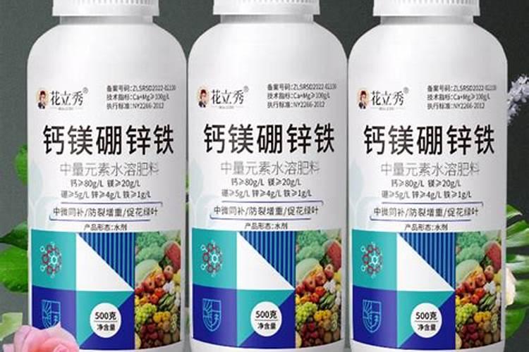 为什么用磷肥蘸根会促进新种桑树的生长？