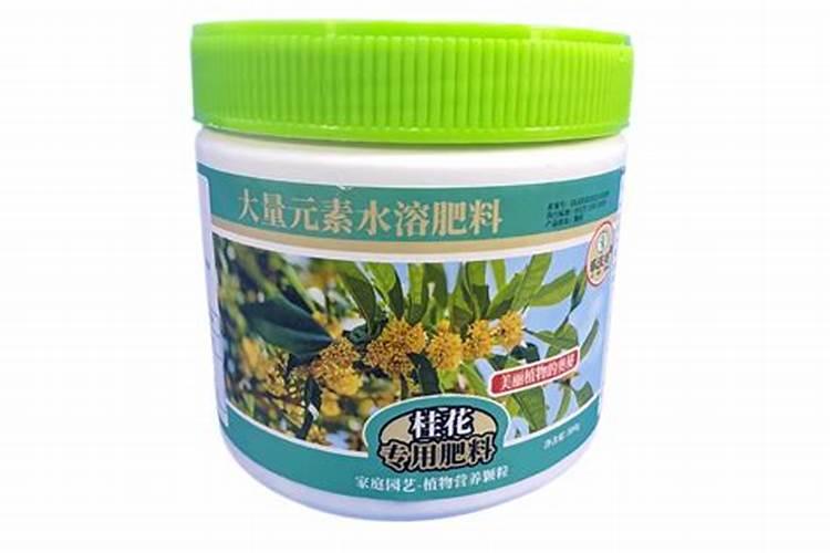 桂花树施什么肥合适