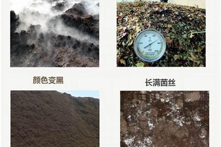 如何利用沼肥沤制沼腐氨肥或沼腐磷酸铵肥？