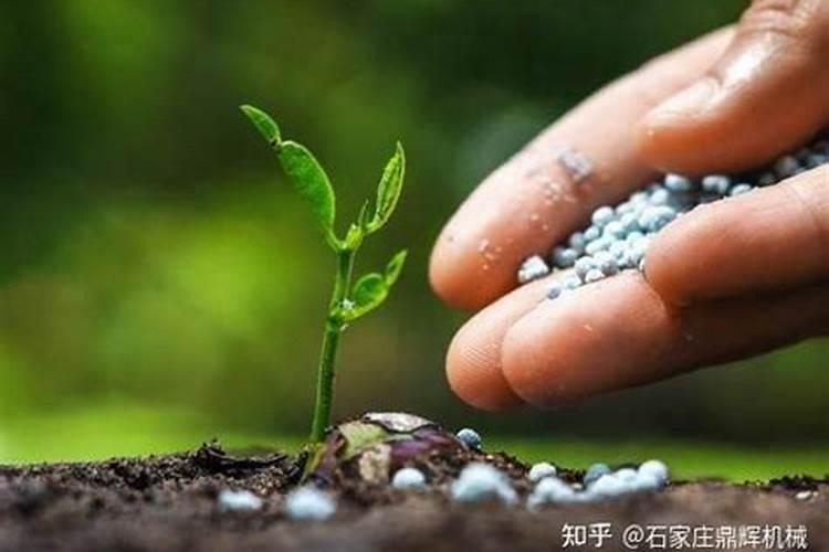 果树施基肥,颗粒有机肥可以完全替代农家肥吗？