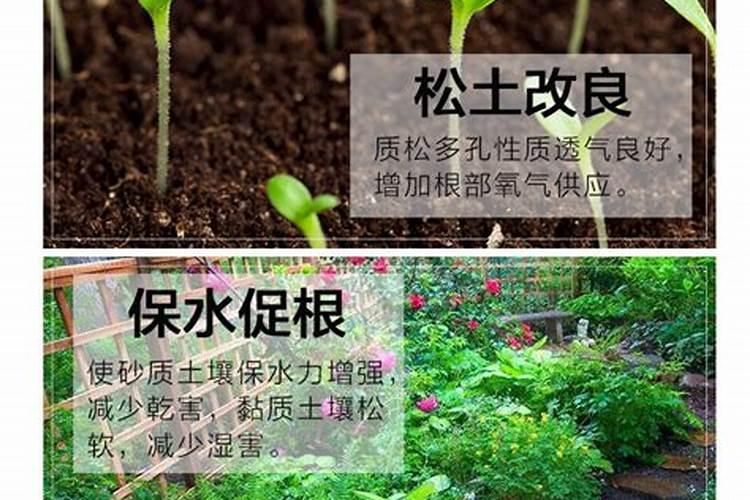氮磷钾如何使用？是直接埋在土里还是放在水里融化？