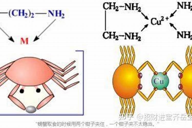 海藻螯合钾什么意思啊