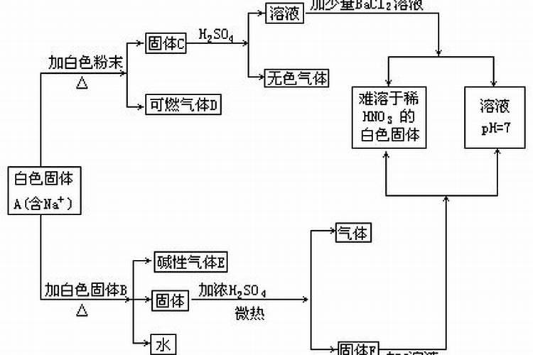 藤本月季不开花怎么办