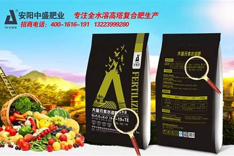 苦荞麦种植