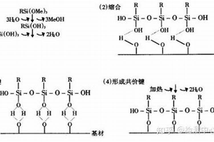 有机硅肥料有什么作用