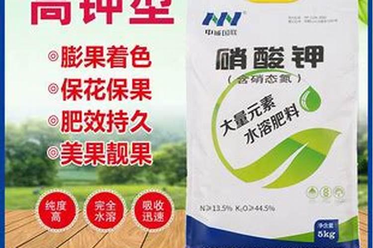 大蒜膨大期用什么肥料