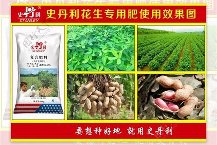 有机钾肥是什么意思？