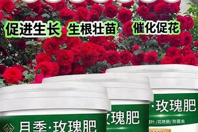 大豆追肥用什么肥料好