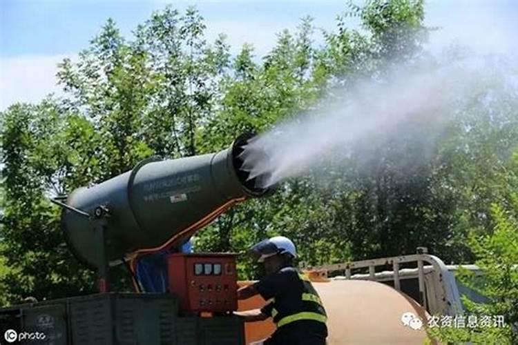 菜籽饼肥料的使用方法