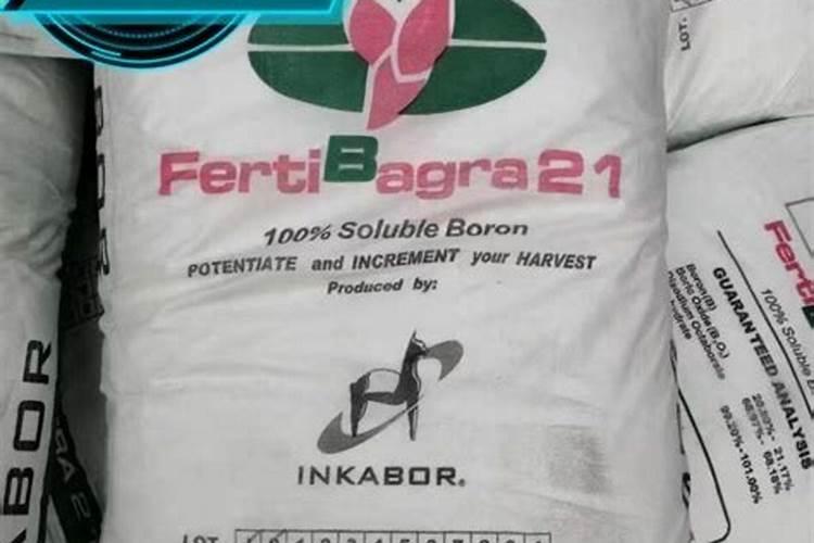 桃树施什么肥料桃子甜 如何施肥效果好